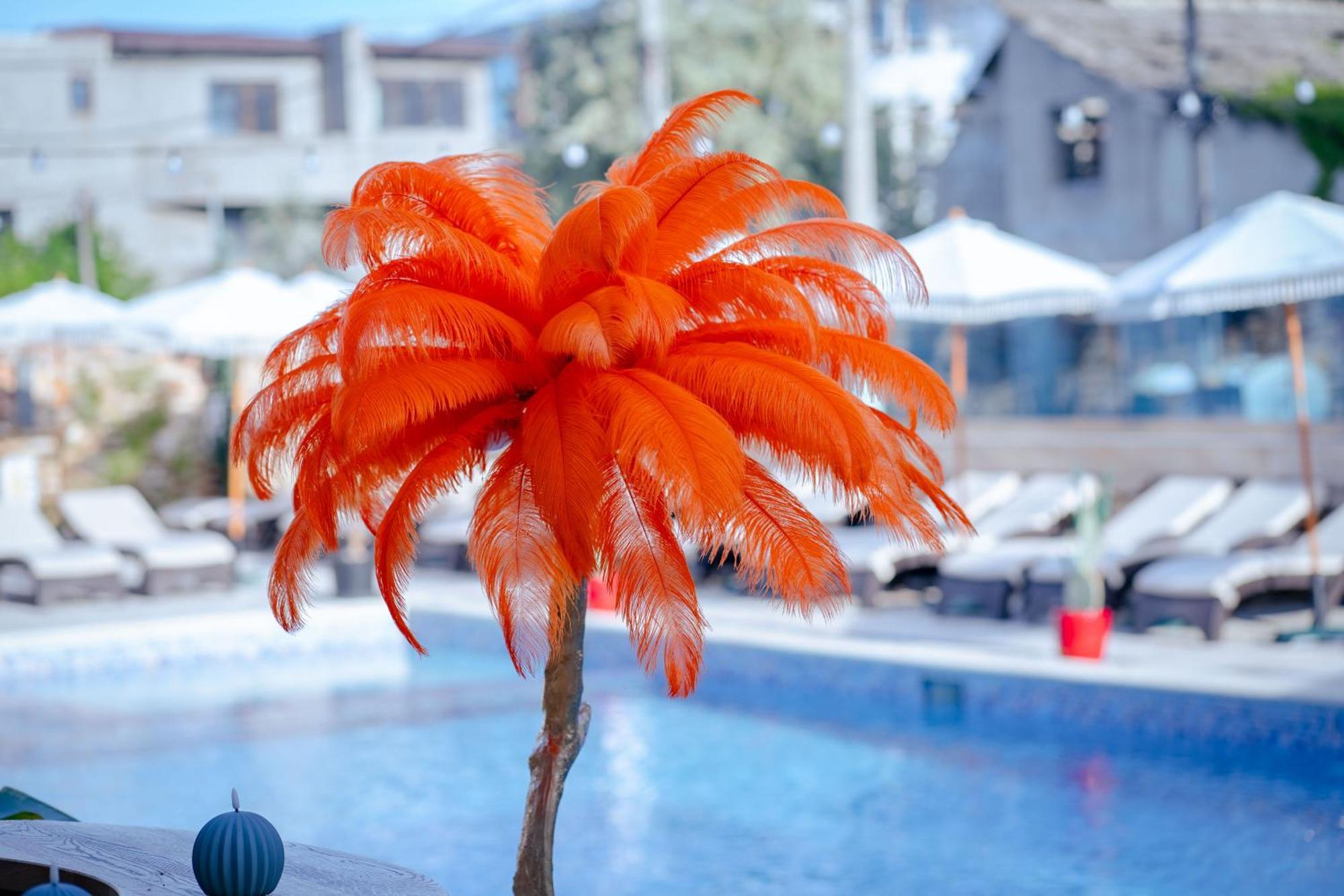 Hotel Almar Luxury Navodari Dış mekan fotoğraf